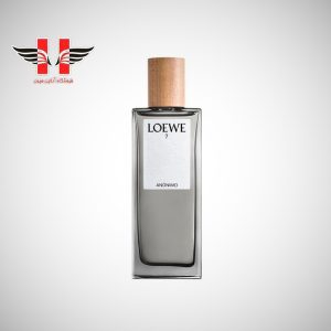 edited Loewe Anonimo