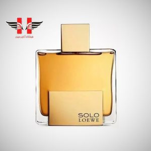 edited Loewe Solo Loewe Absoluto