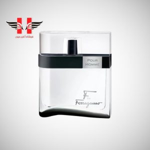 edited Salvatore Ferragamo F by Ferragamo Black