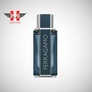 edited Salvatore Ferragamo Intense Leather