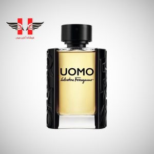 edited Salvatore Ferragamo Uomo