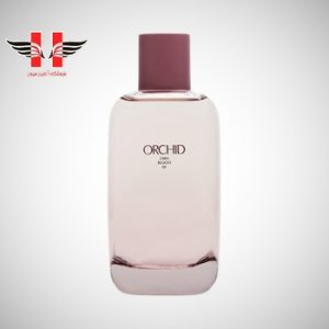 edited Zara Orchid ml