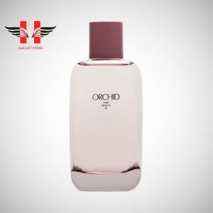 edited Zara Orchid
