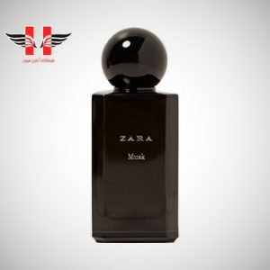 edited Zara Musk