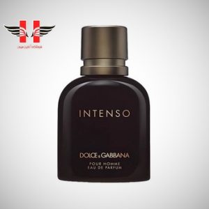 edited Dolce Gabbana Pour Homme Intenso