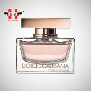 edited Dolce Gabbana Rose The One