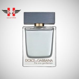 edited Dolce Gabbana The One Gentleman